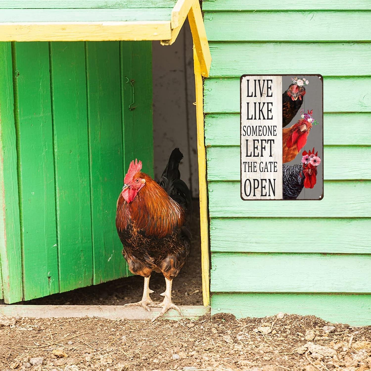 We Tested This Charming Chicken Sign That Adds Farmhouse Flair