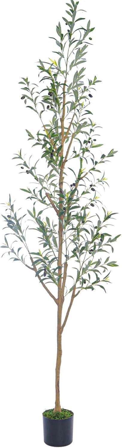 Why We Love the 7.6FT Olive Tree: Perfect Tall, Slim Decor for Us