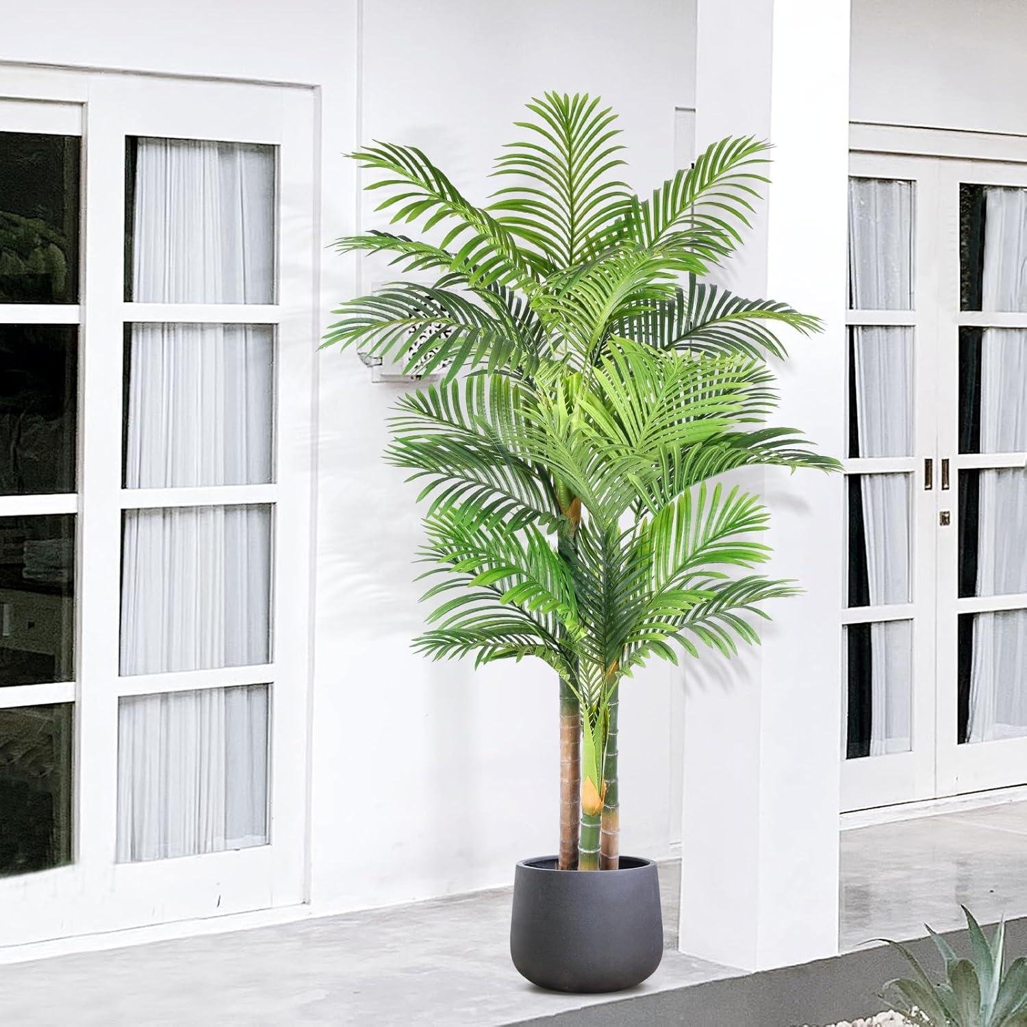 Our Honest Review: 6ft Triple Golden Cane Palm Tree Worth It?