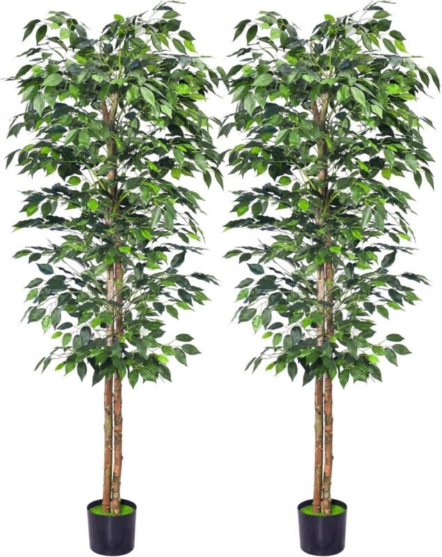 HAIHONG Ficus Trees Review: Worth It in 2026?