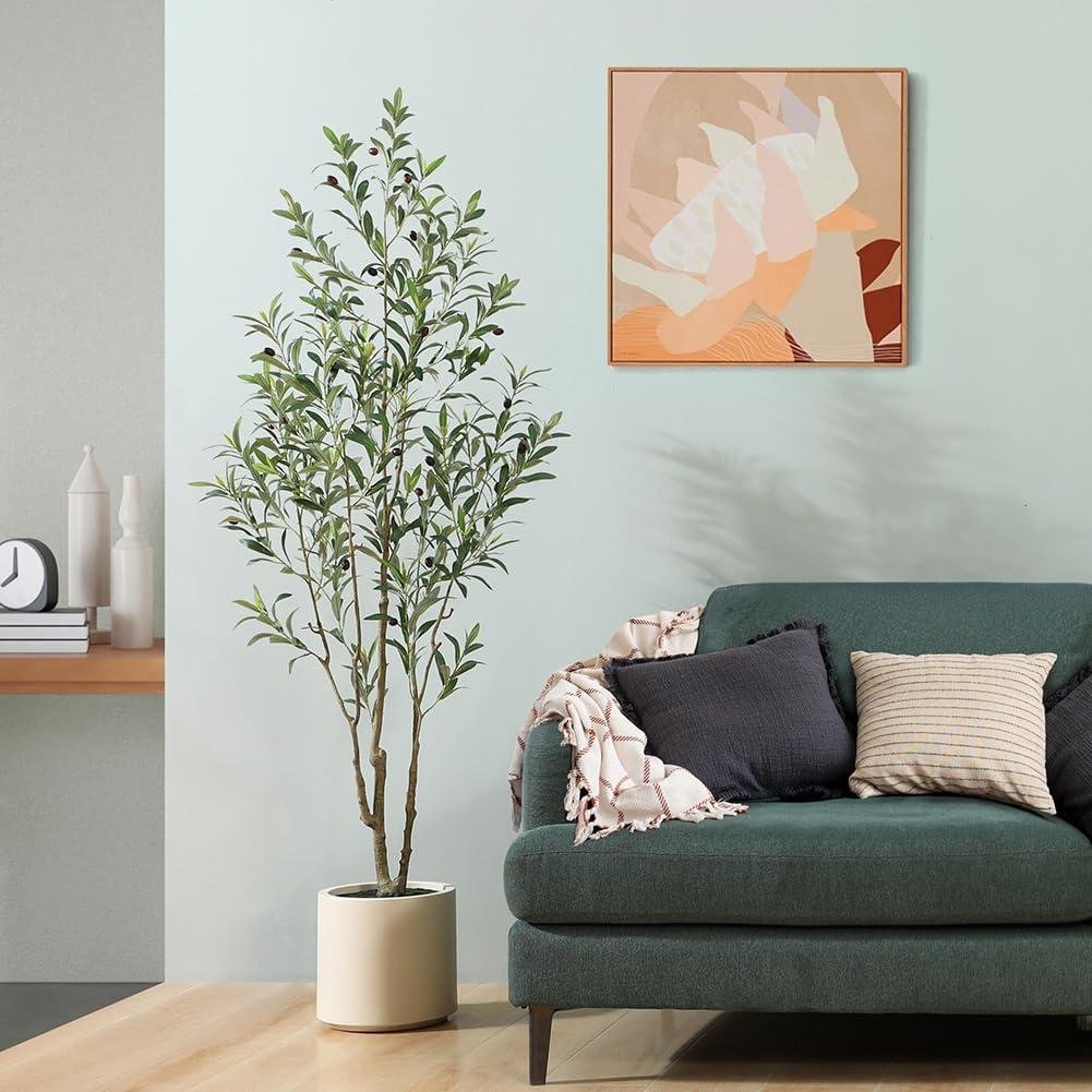 LOMANTO Olive Tree Review: Worth It in 2026?