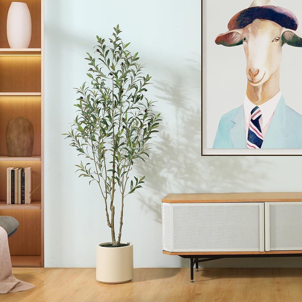 LOMANTO Olive Tree Review: Worth It in 2026?