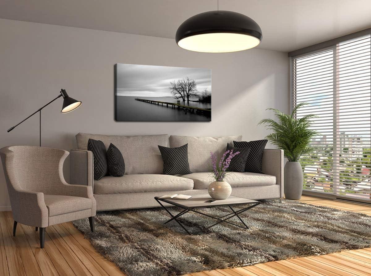 DZL Art Lake Trees Canvas Print Review: Worth It? 2026