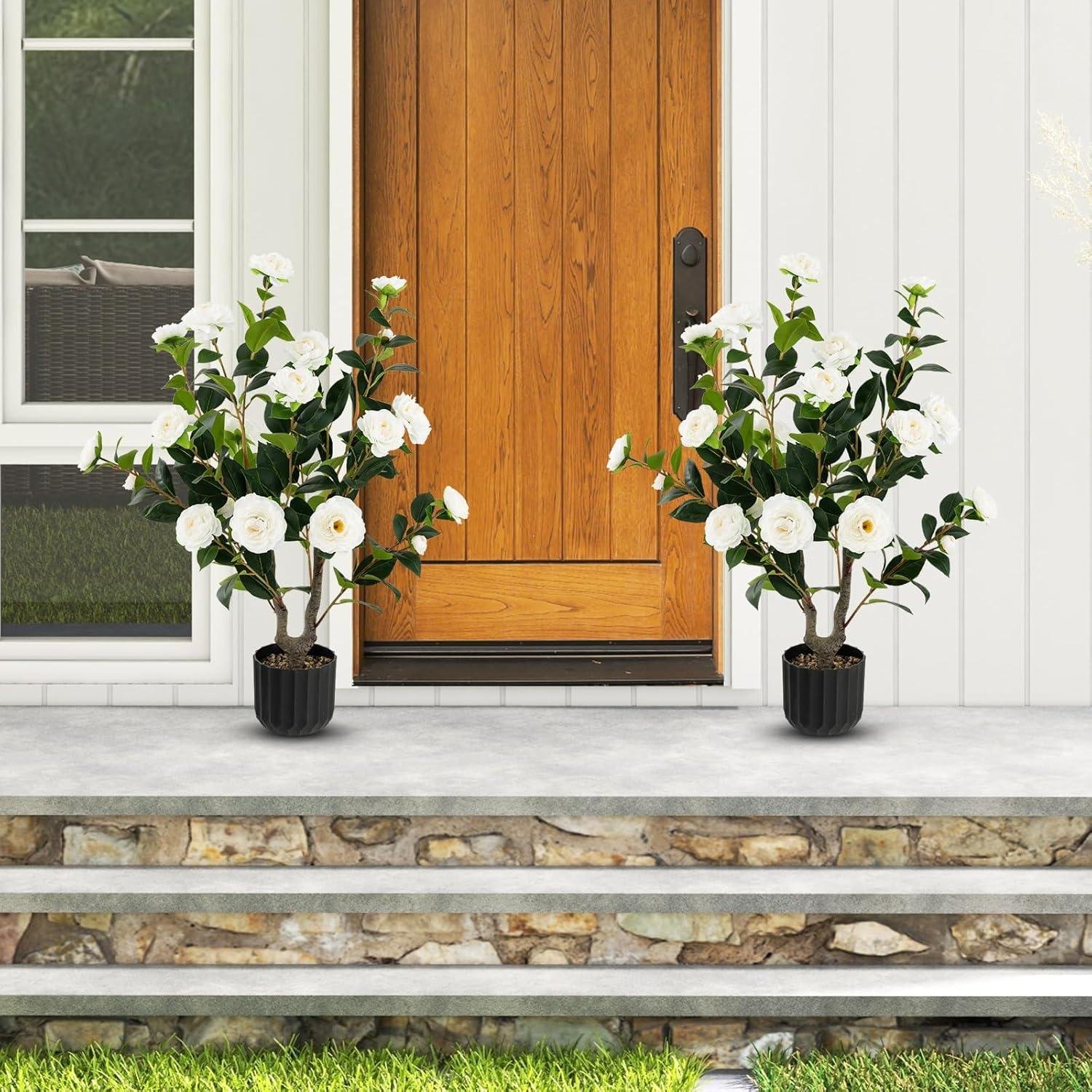 Goplus Camellia Tree Review: Worth It in 2026?