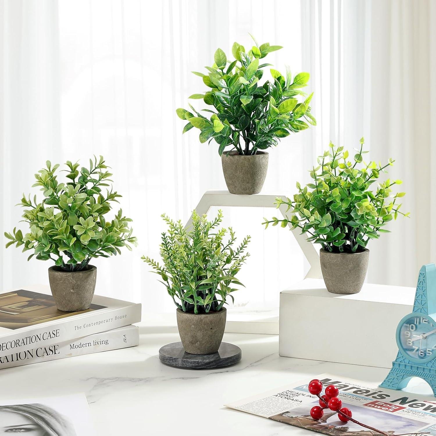 We Review: Mini Ceramic Plant Set for Stylish Home Decor