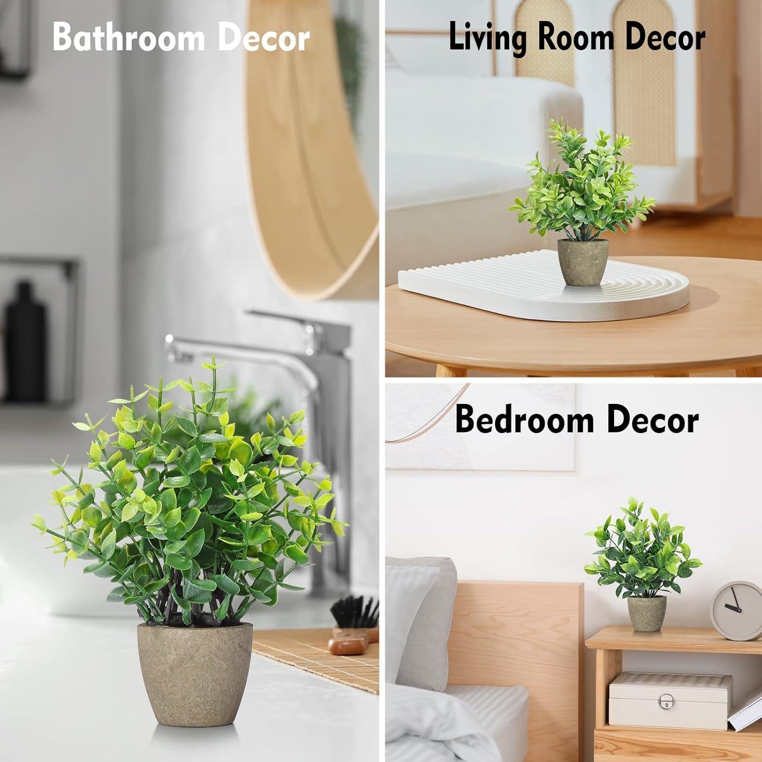 We Review: Mini Ceramic Plant Set for Stylish Home Decor