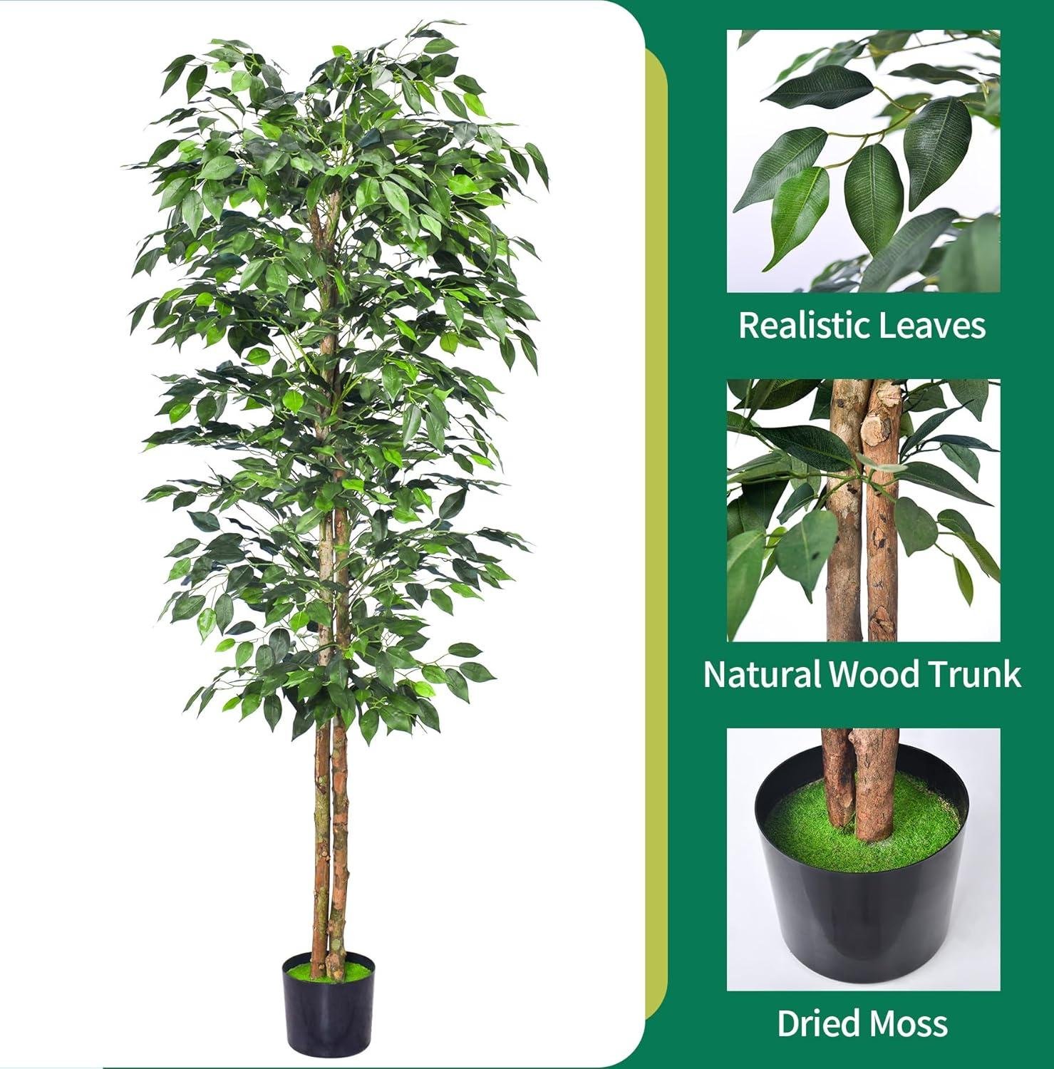HAIHONG Ficus Trees Review: Worth It in 2026?