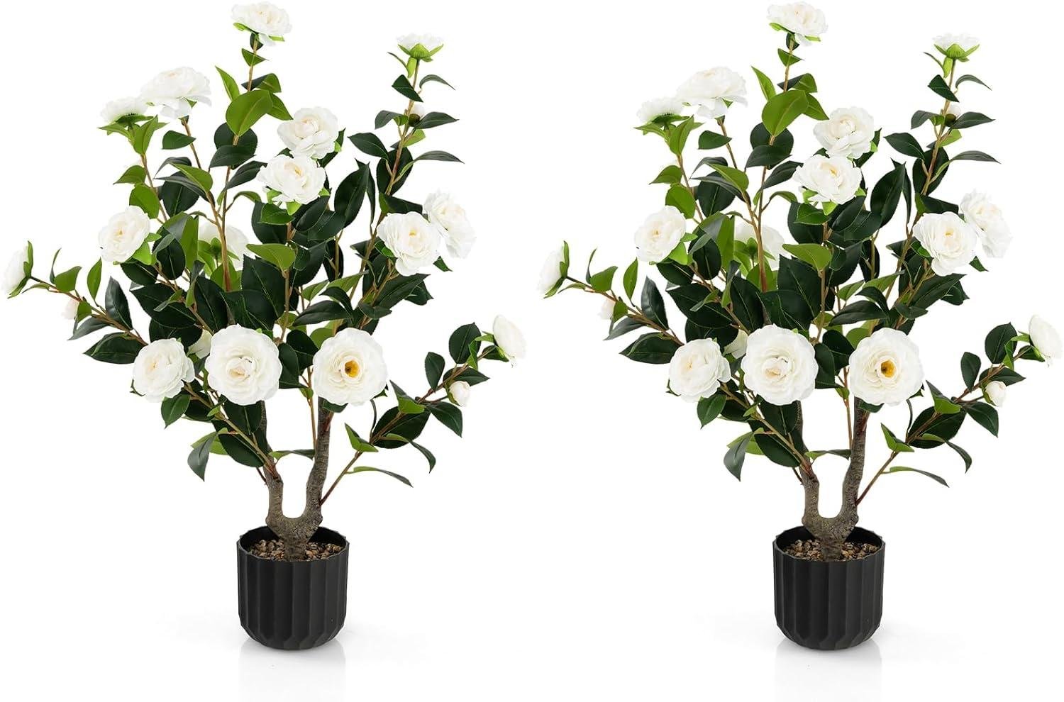 Goplus Camellia Tree Review: Worth It in 2026?
