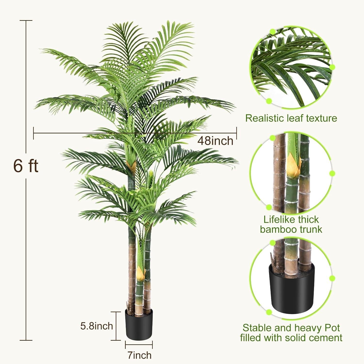 Our Honest Review: 6ft Triple Golden Cane Palm Tree Worth It?