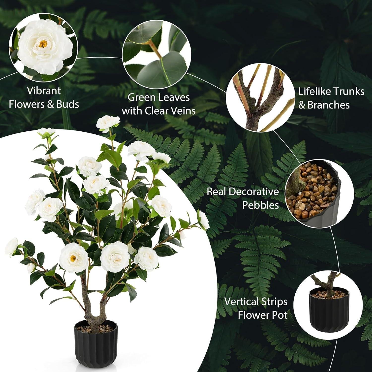 Goplus Camellia Tree Review: Worth It in 2026?