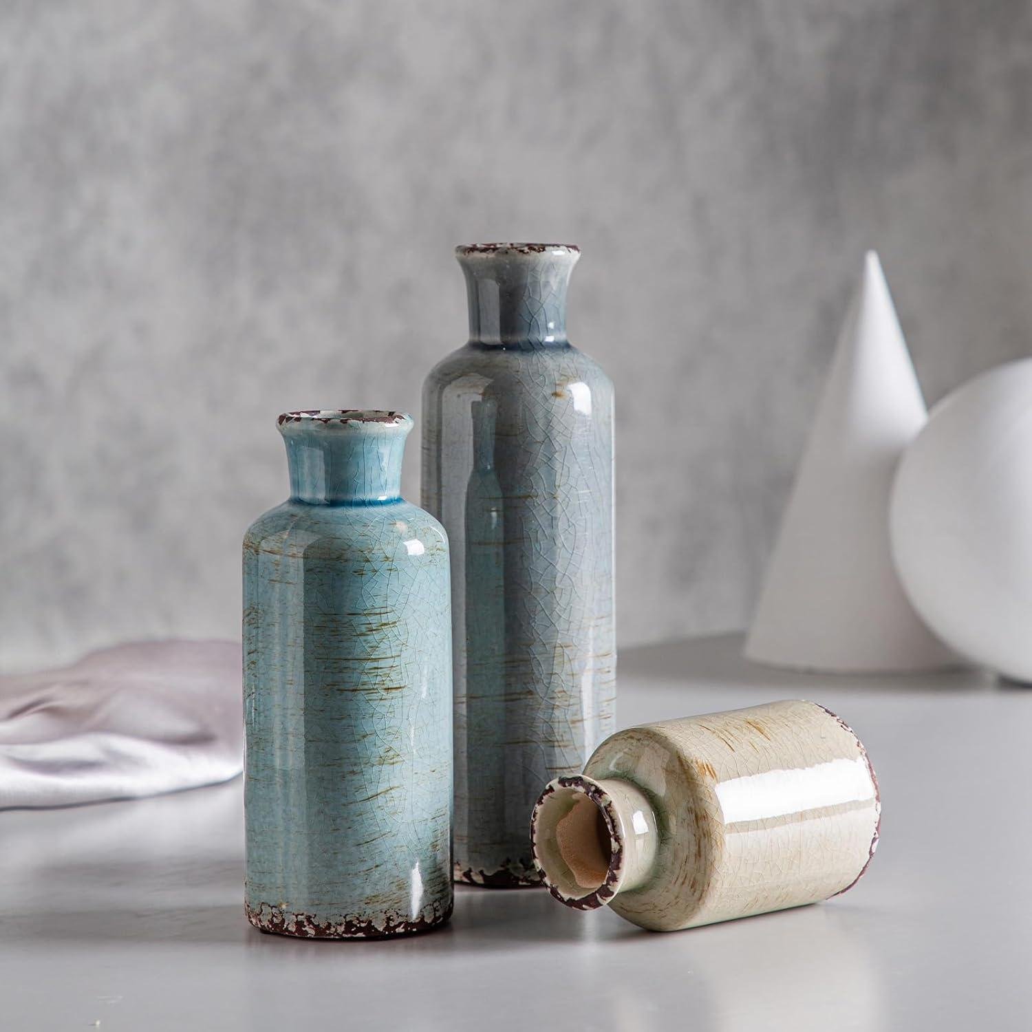 Elevating Home Decor: Our Review of CwlwGO Ceramic Vases