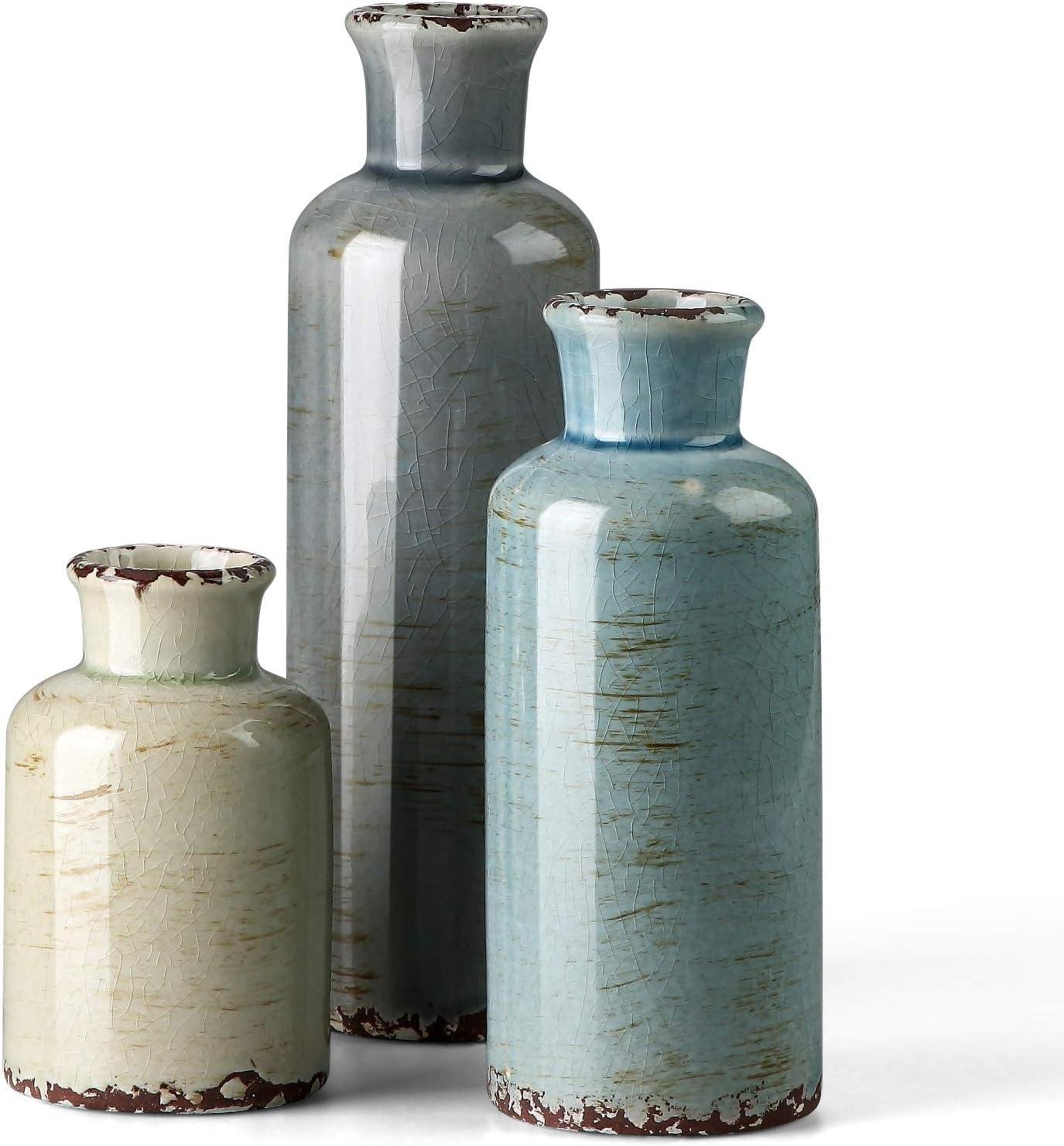 Elevating Home Decor: Our Review of CwlwGO Ceramic Vases
