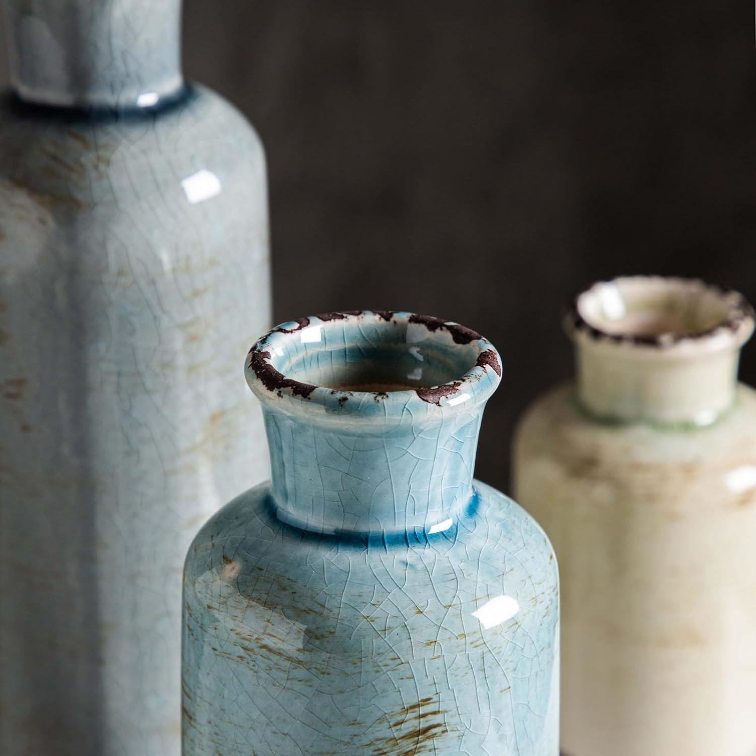Elevating Home Decor: Our Review of CwlwGO Ceramic Vases