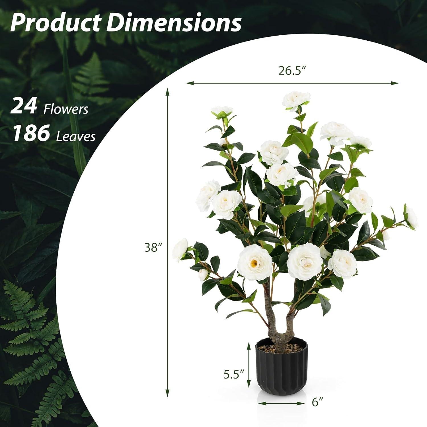 Goplus Camellia Tree Review: Worth It in 2026?