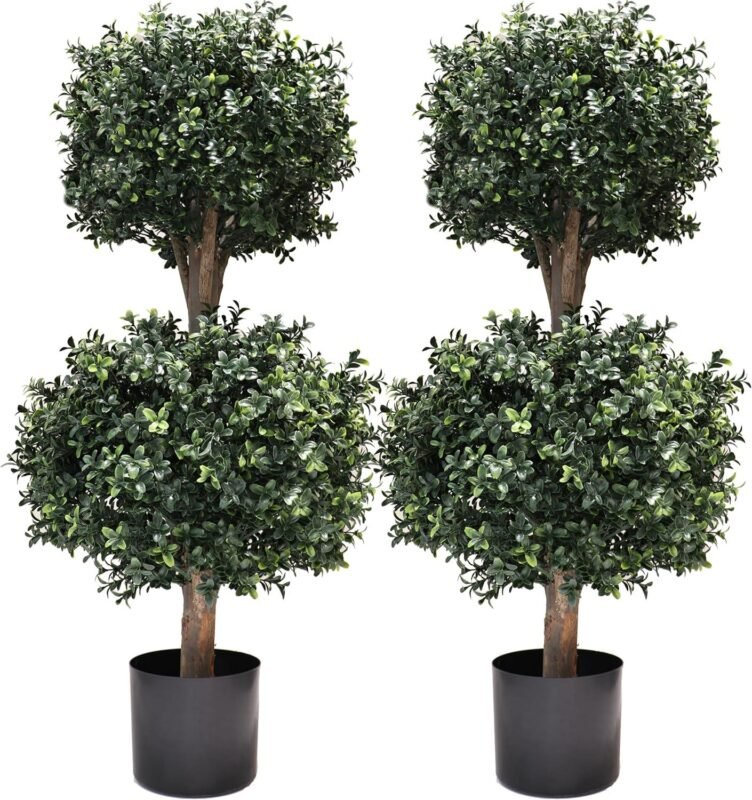 Boxwood Topiary Trees Review: Worth It in 2026?
