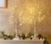We Light Up Your Season: Cozy PEIDUO Birch Trees Review