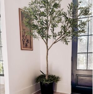 Phimos 8.2FT Olive Tree Review: Worth It for Our Home?