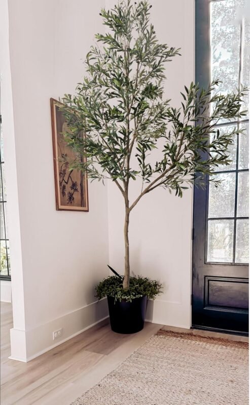 Phimos 8.2FT Olive Tree Review: Worth It for Our Home?