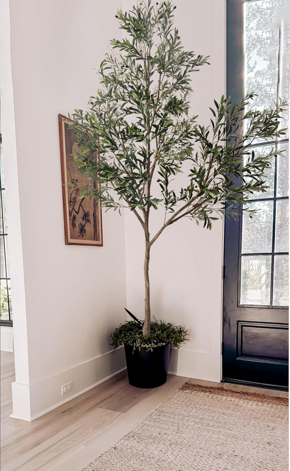 Phimos 8.2FT Olive Tree Review: Worth It for Our Home?