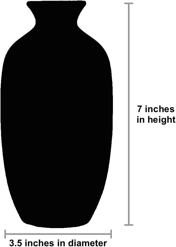 RAAQUU Koban Vase Review: Worth It for Your Home? (2026)