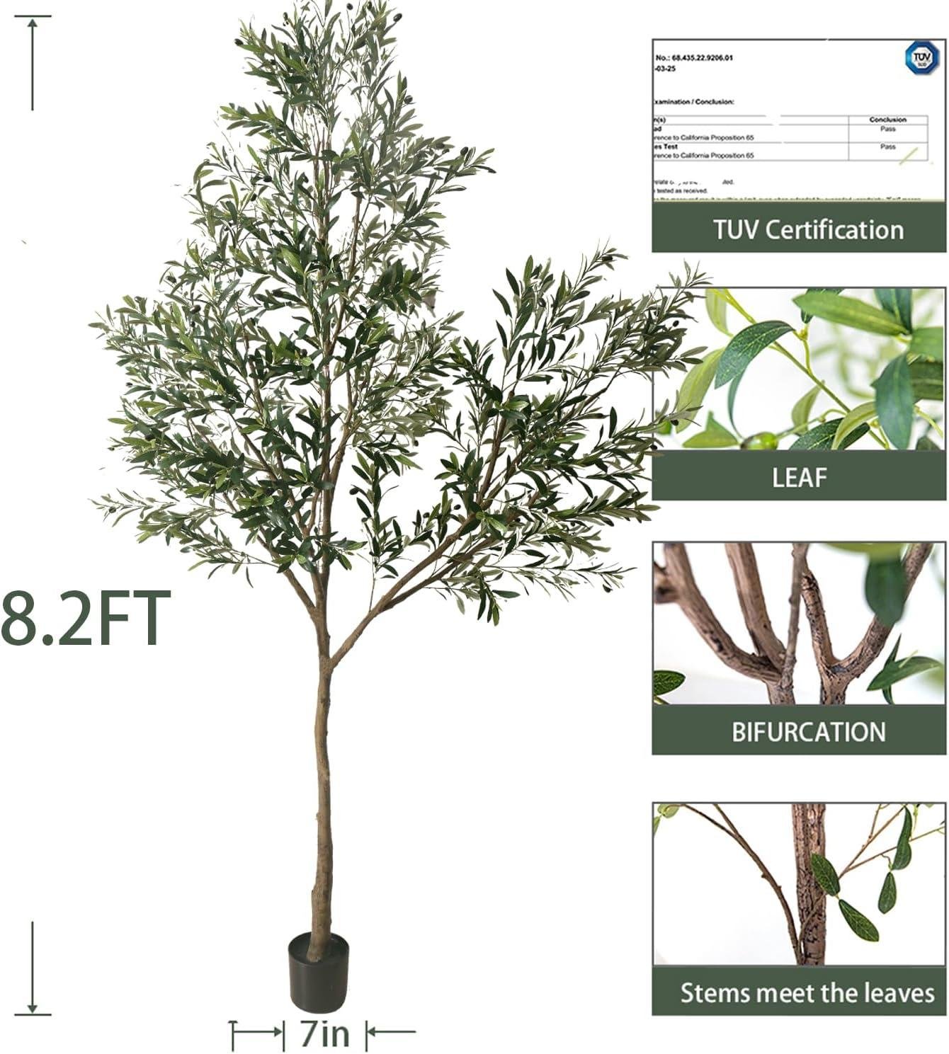 Phimos 8.2FT Olive Tree Review: Worth It for Our Home?