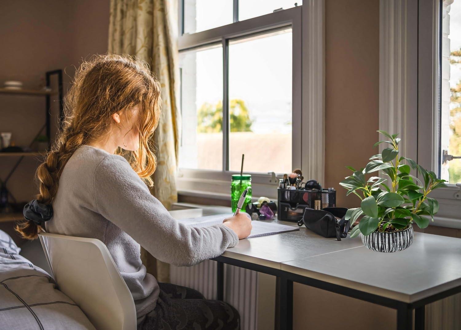 Our Take on AlphaAcc's Lifelike Succulents in Black Clay