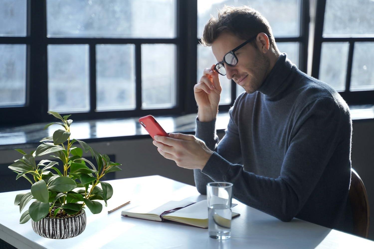 Our Take on AlphaAcc's Lifelike Succulents in Black Clay