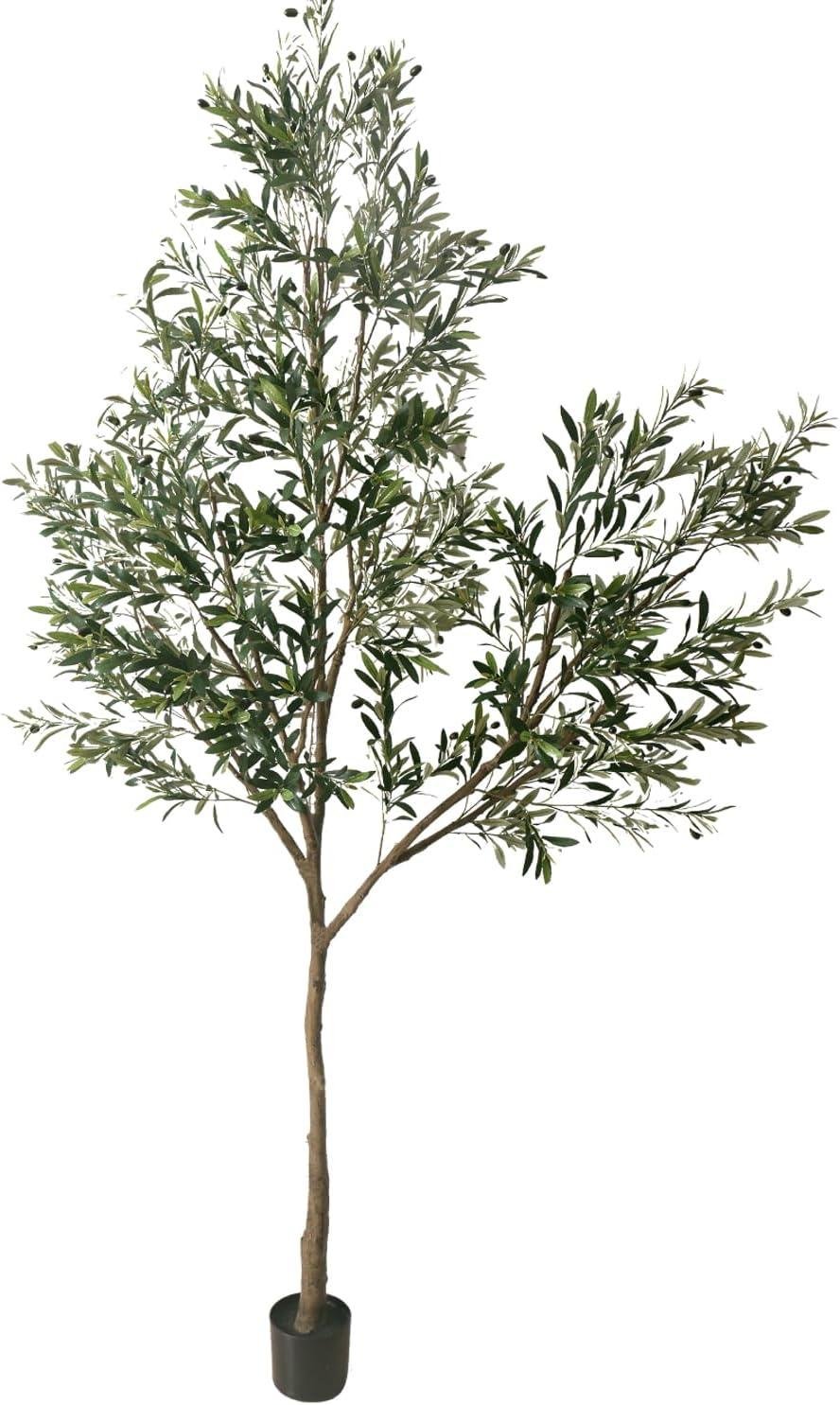 Phimos 8.2FT Olive Tree Review: Worth It for Our Home?
