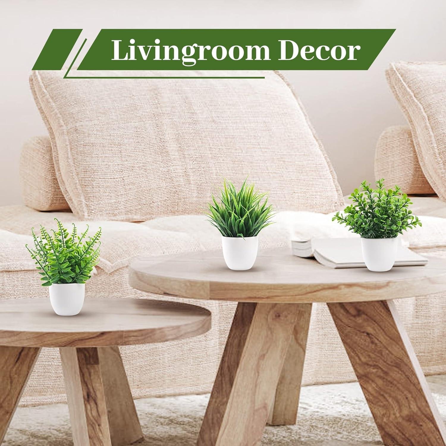 Our Take on Der Rose's Charming Faux Plants Collection