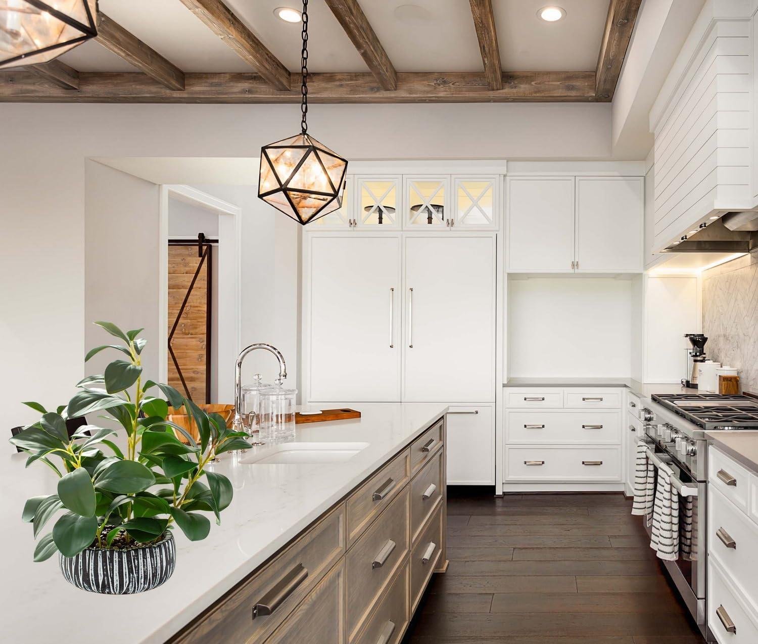 Our Take on AlphaAcc's Lifelike Succulents in Black Clay