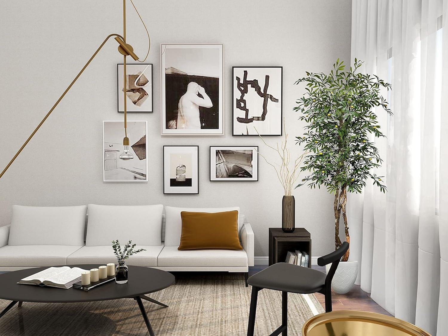 Our 6.5ft Olive Tree Review: Worth It in 2026?