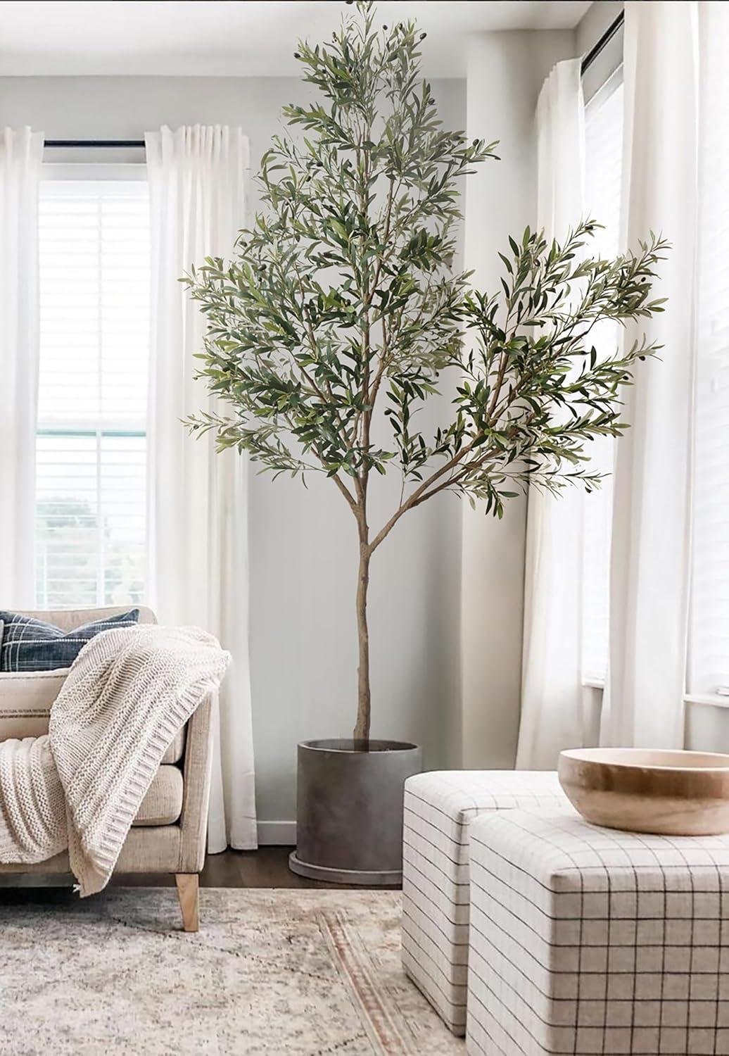 Phimos 8.2FT Olive Tree Review: Worth It for Our Home?