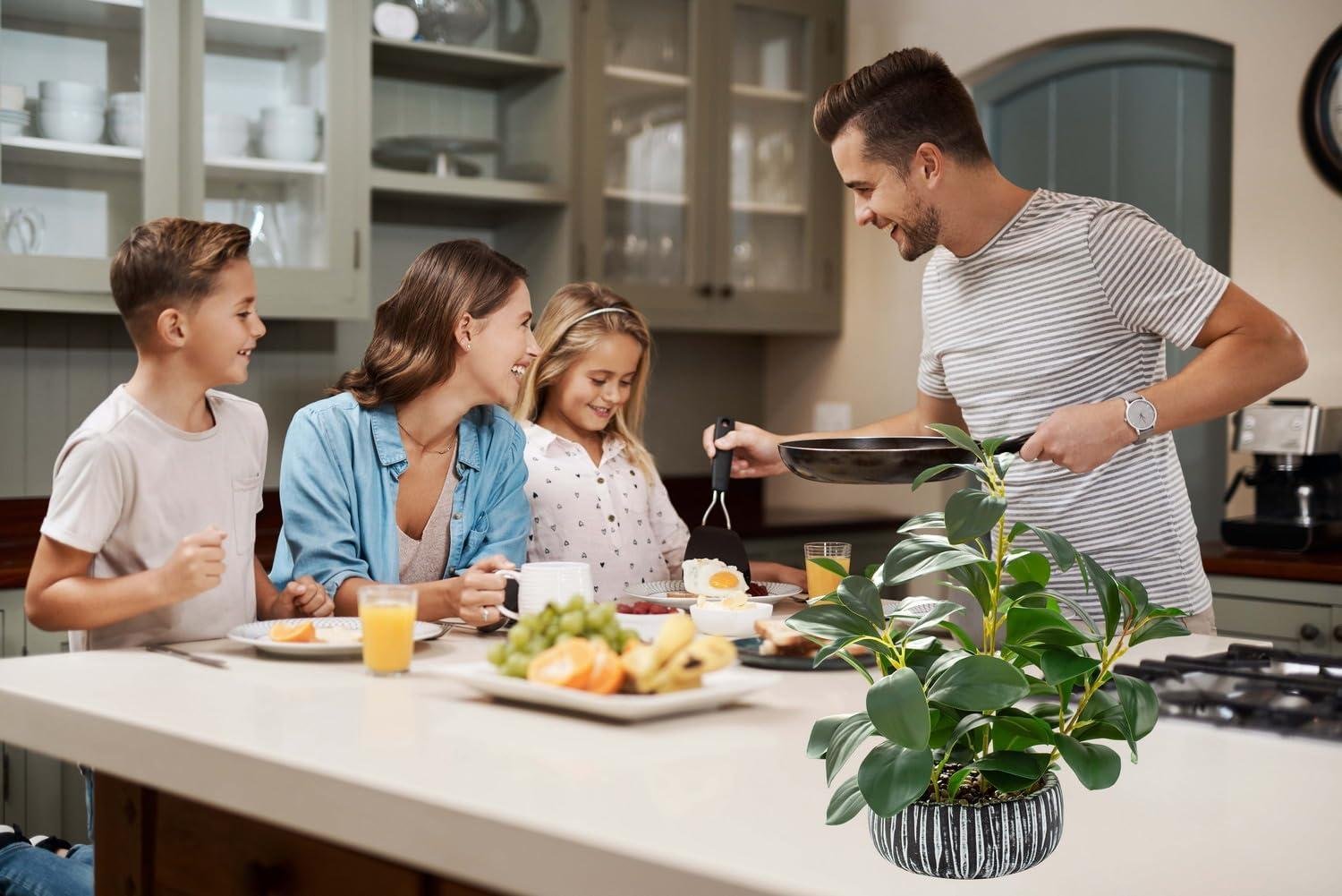 Our Take on AlphaAcc's Lifelike Succulents in Black Clay