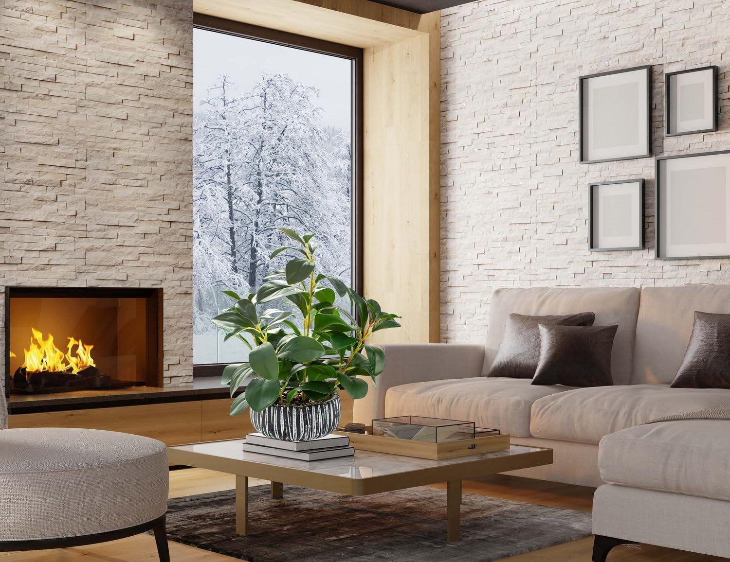 Our Take on AlphaAcc's Lifelike Succulents in Black Clay