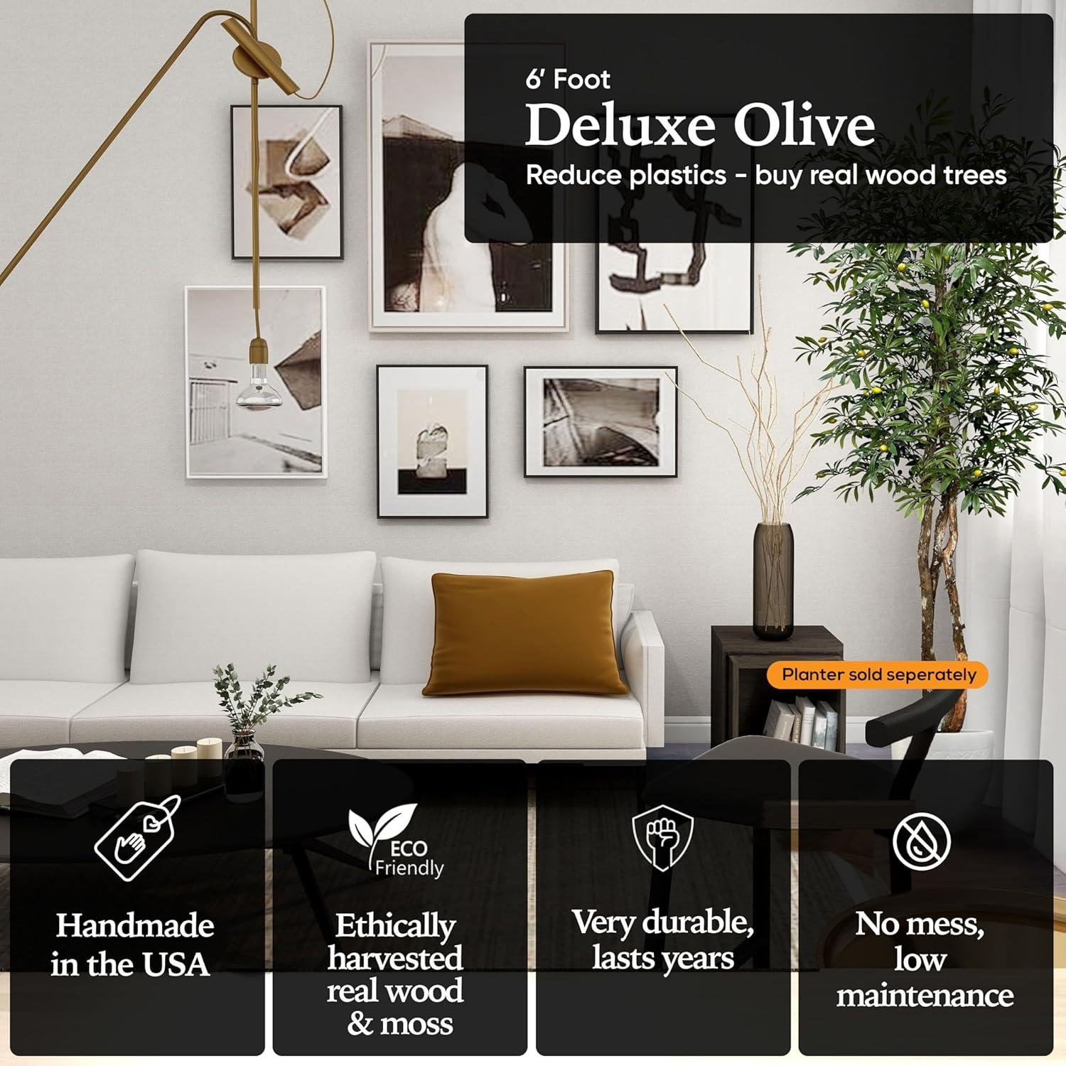 Our 6.5ft Olive Tree Review: Worth It in 2026?