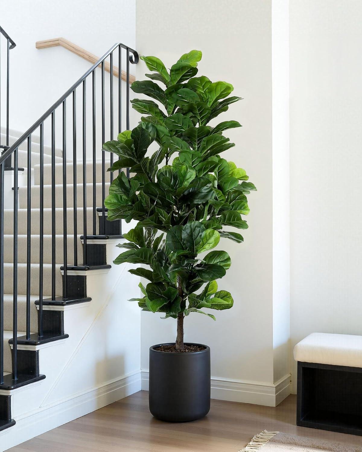 6ft Artificial Fiddle Leaf Fig Review: Worth It 2026?