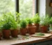 15 Herb Gardening Tips for a Fresh Kitchen (You Won't Believe #7!)